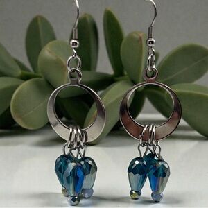 Stainless steel and glass Earrings